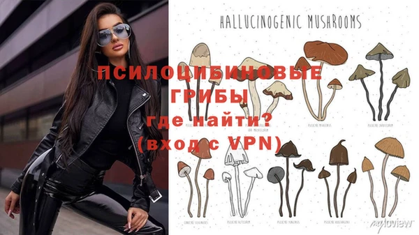 МДМА Михайлов